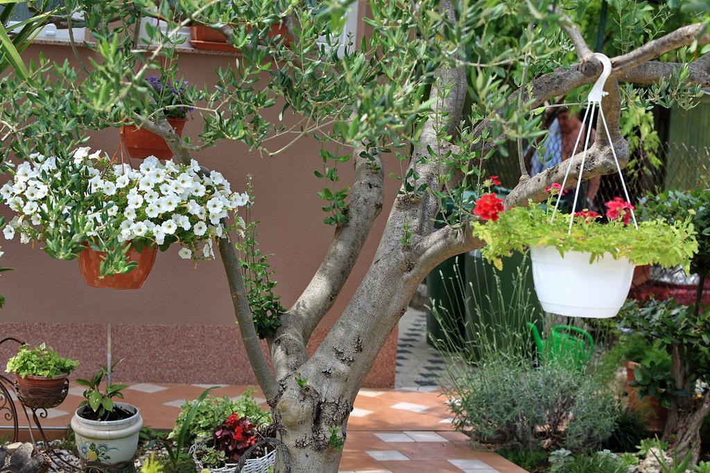 Apartments Melita بيبينيا الغرفة الصورة